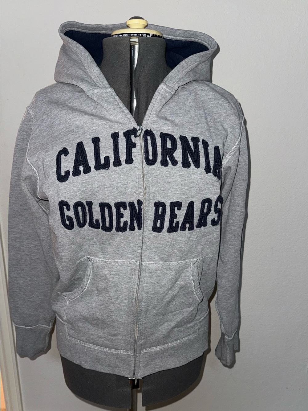 Champs Gray Hooded Zip Sweatshirt with Navy Text